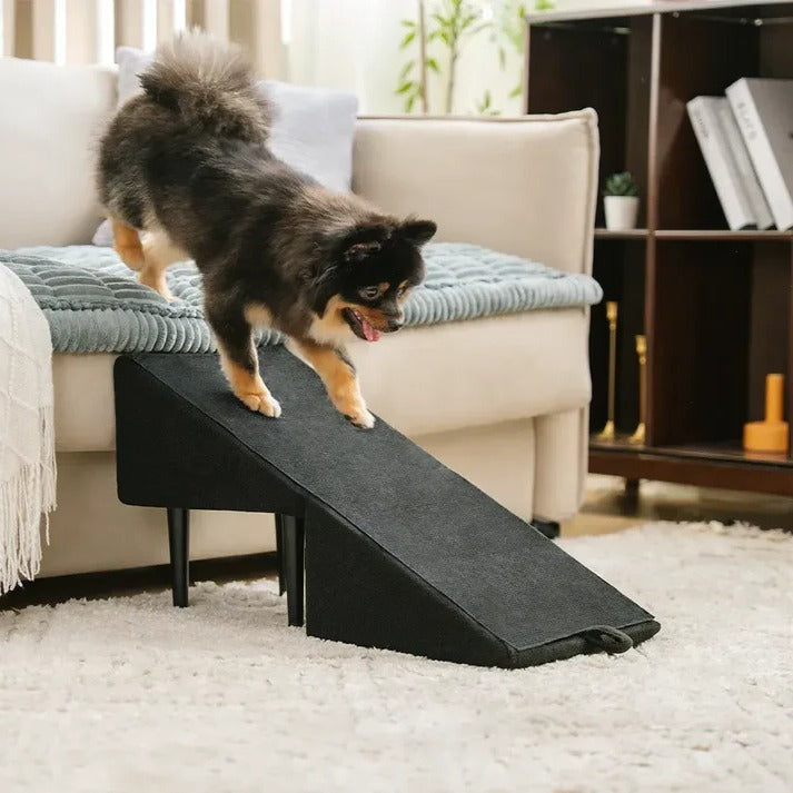 Dog Ramp Step Stool Convertible 2-in-1