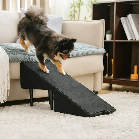 Dog Ramp Step Stool Convertible 2-in-1