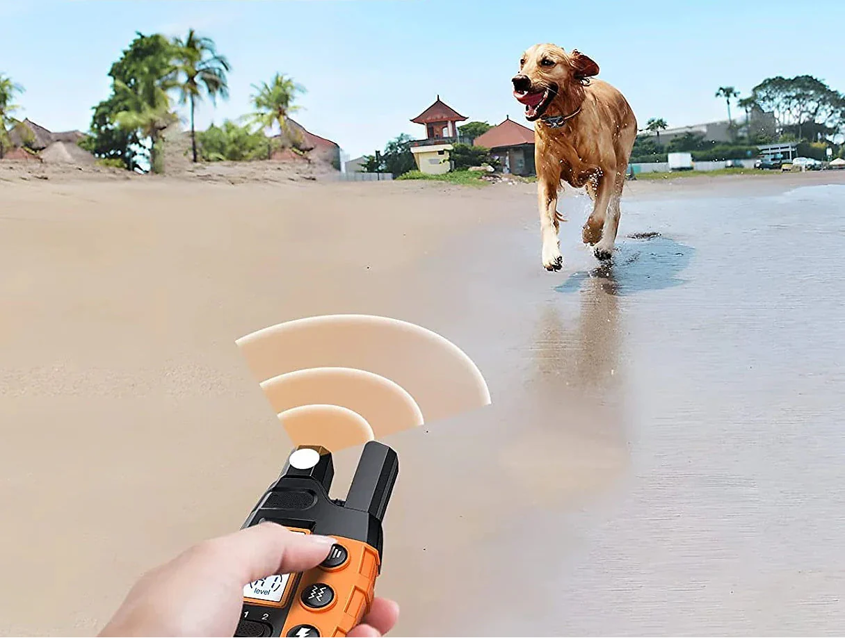 Dog Training Collar with Remote – Waterproof Rechargeable E-Collar for All Sizes