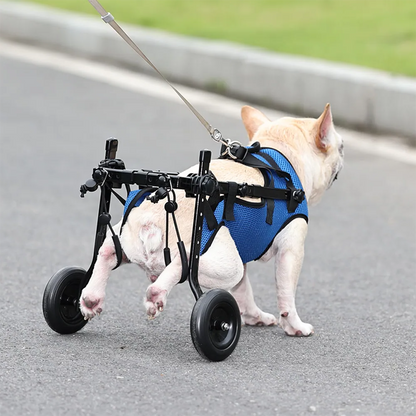 Dog Wheelchair Hind Leg Support Rehabilitation Aid Adjustable Pet Booster