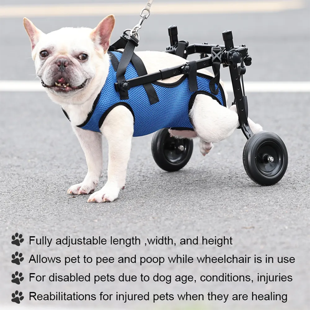 Dog Wheelchair Hind Leg Support Rehabilitation Aid Adjustable Pet Booster
