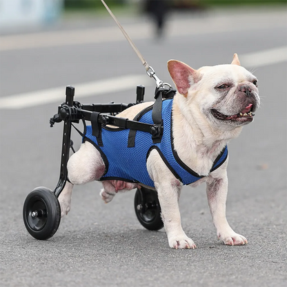 Dog Wheelchair Hind Leg Support Rehabilitation Aid Adjustable Pet Booster