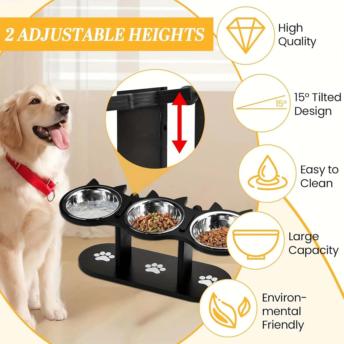 Elevated Cat Bowl with Stainless Steel Dishes Set