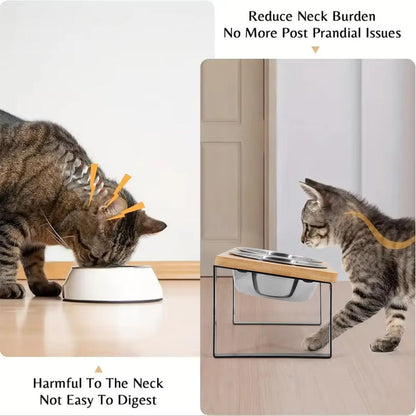 Elevated Cat Food Bowl