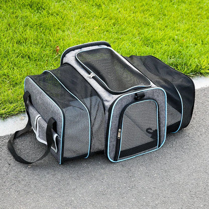 Foldable Pet Carrier Bag Portable Travel Pet Backpack