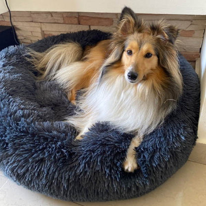 Calming Dog Bed Removable Cover Circular Shape