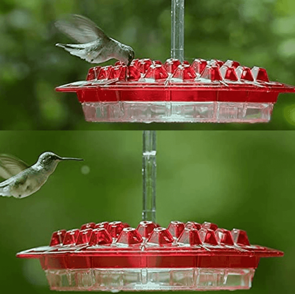 Hummingbird Feeder Outdoor Hanging Ant Proof Perch
