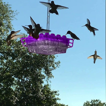Hummingbird Feeder Outdoor Hanging Ant Proof Perch