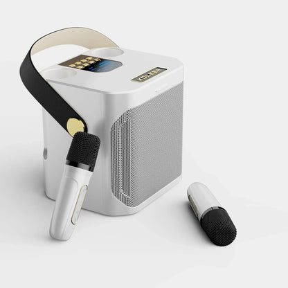 Karaoke Bluetooth Speaker Portable 360 Degree