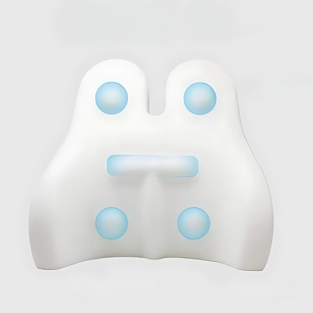 Memory Foam Back Support Cushion