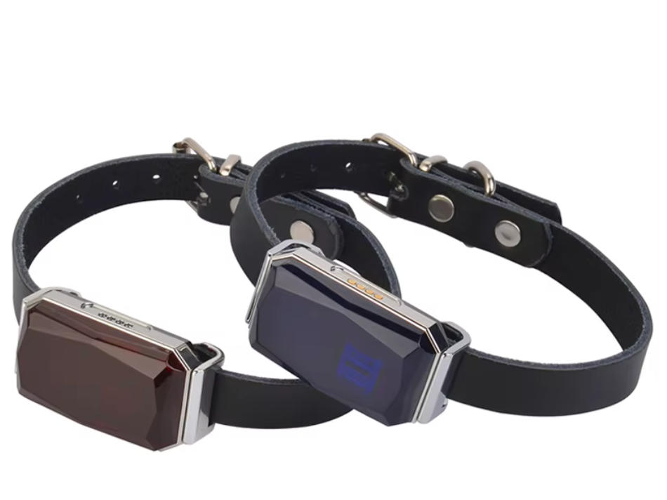 Mini GPS Tracker for cats - dogs