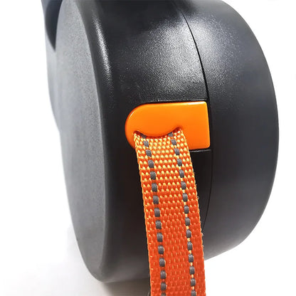 Multifunctional Double Dog Lead with LED Torch