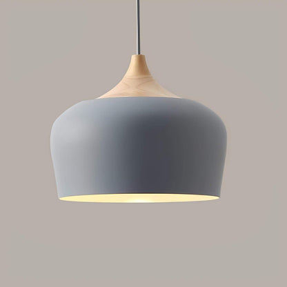 Elegant Metal and Wood Pendant Light in Pastel Colours for Home Decor