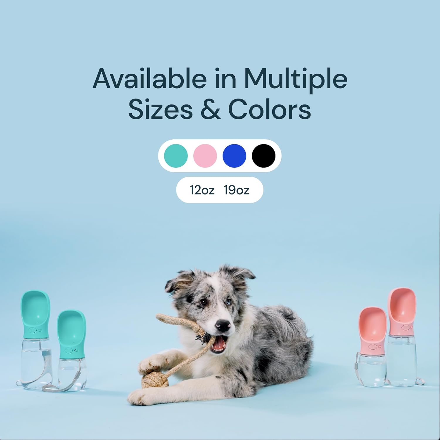 Portable Water Bottle for Dogs 19 oz