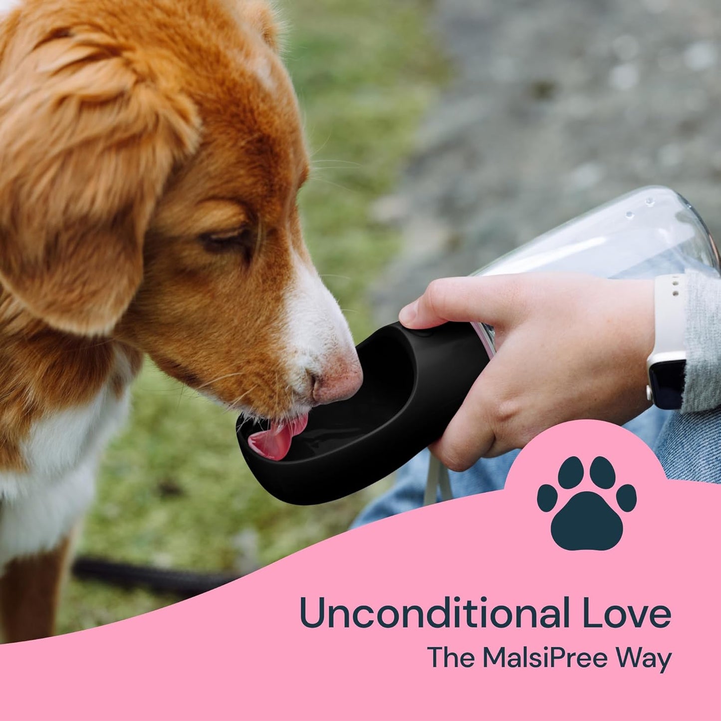 Portable Water Bottle for Dogs 19 oz