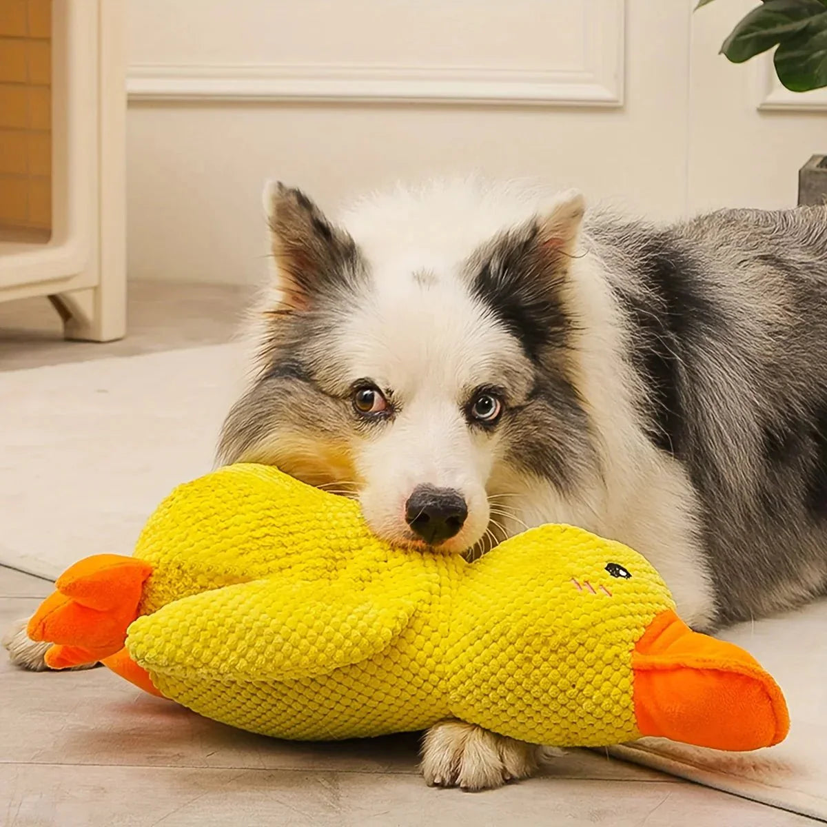 Calming Duck Toy for Dogs