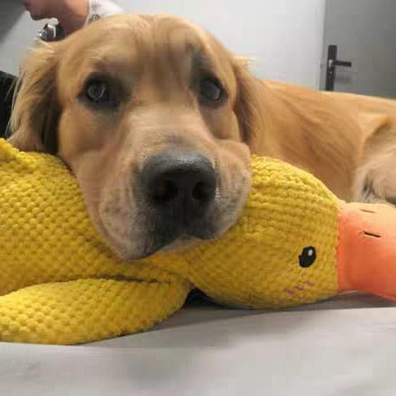 Calming Duck Toy for Dogs