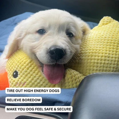 Calming Duck Toy for Dogs