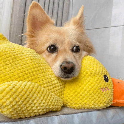Calming Duck Toy for Dogs