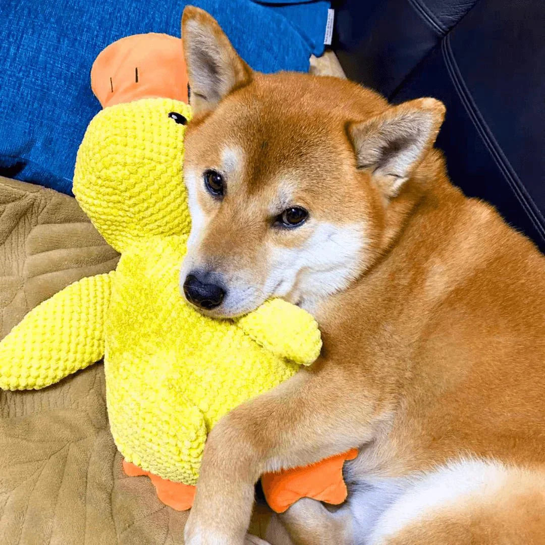 Calming Duck Toy for Dogs