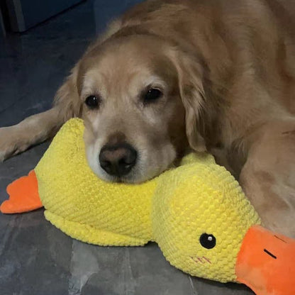Calming Duck Toy for Dogs