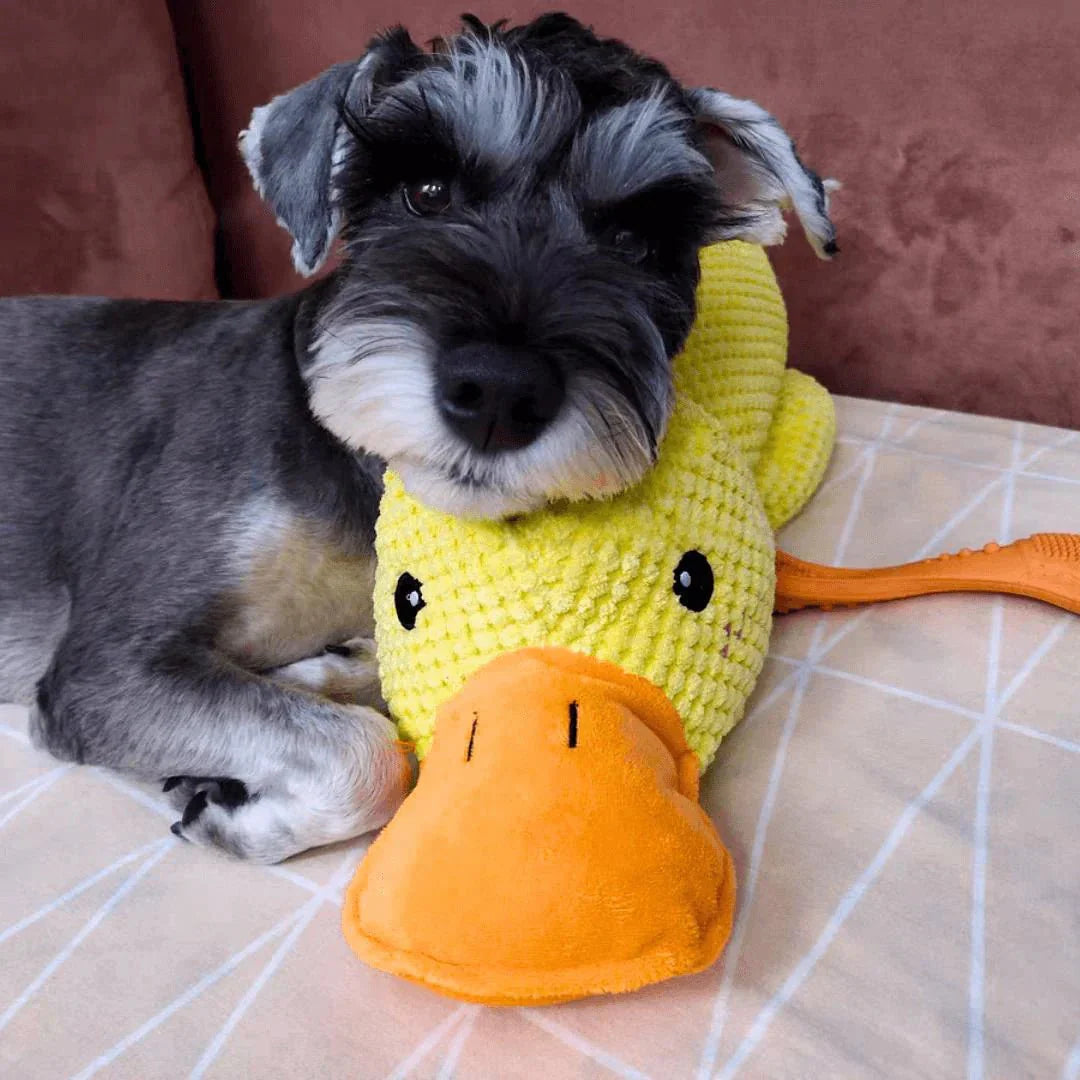 Calming Duck Toy for Dogs