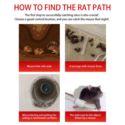 Reusable Mouse Trap Cage Sliding Door Design