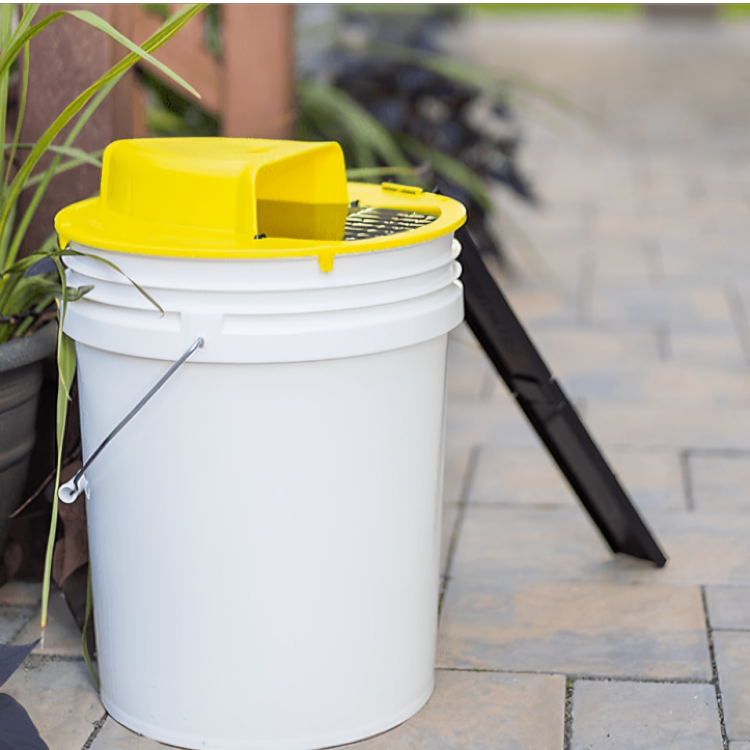 Rodent Trap – Automatic Smart Flip Trap for Home, Effective Mouse Catcher