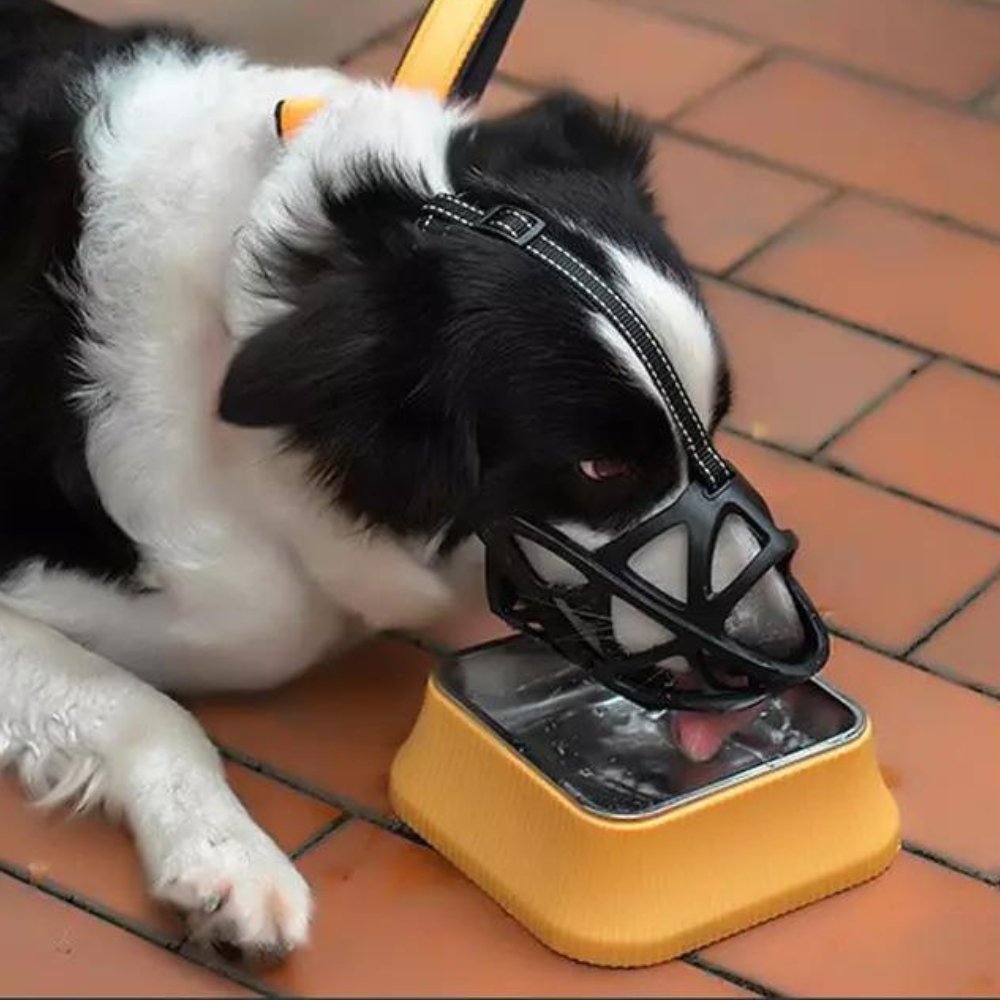 Dog Muzzle Safety Device