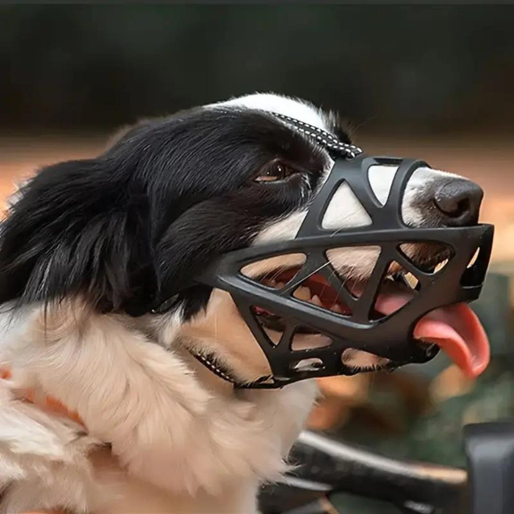 Dog Muzzle Safety Device
