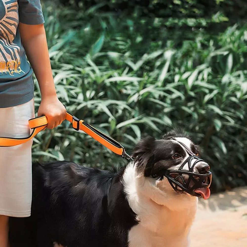 Dog Muzzle Safety Device