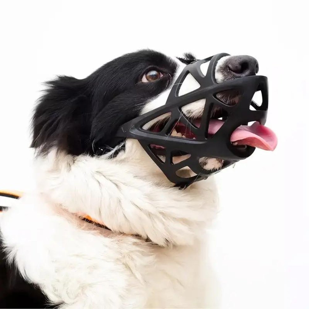 Dog Muzzle Safety Device