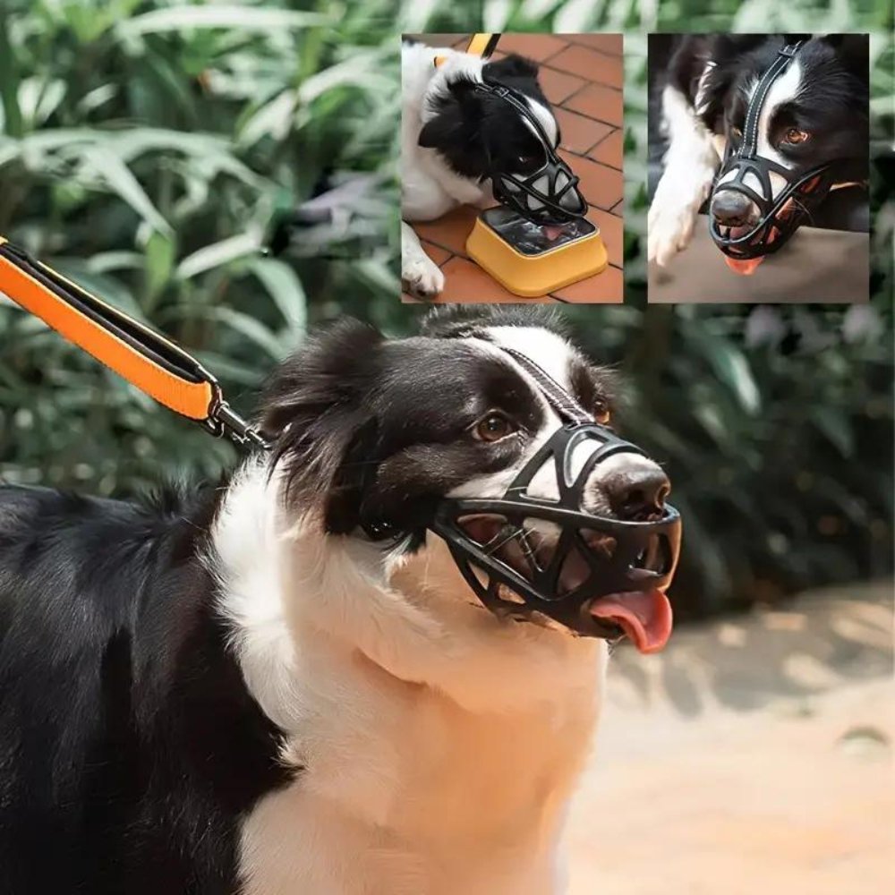 Dog Muzzle Safety Device