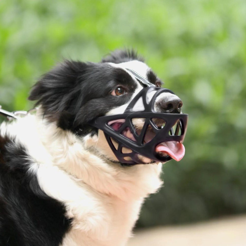 Dog Muzzle Safety Device