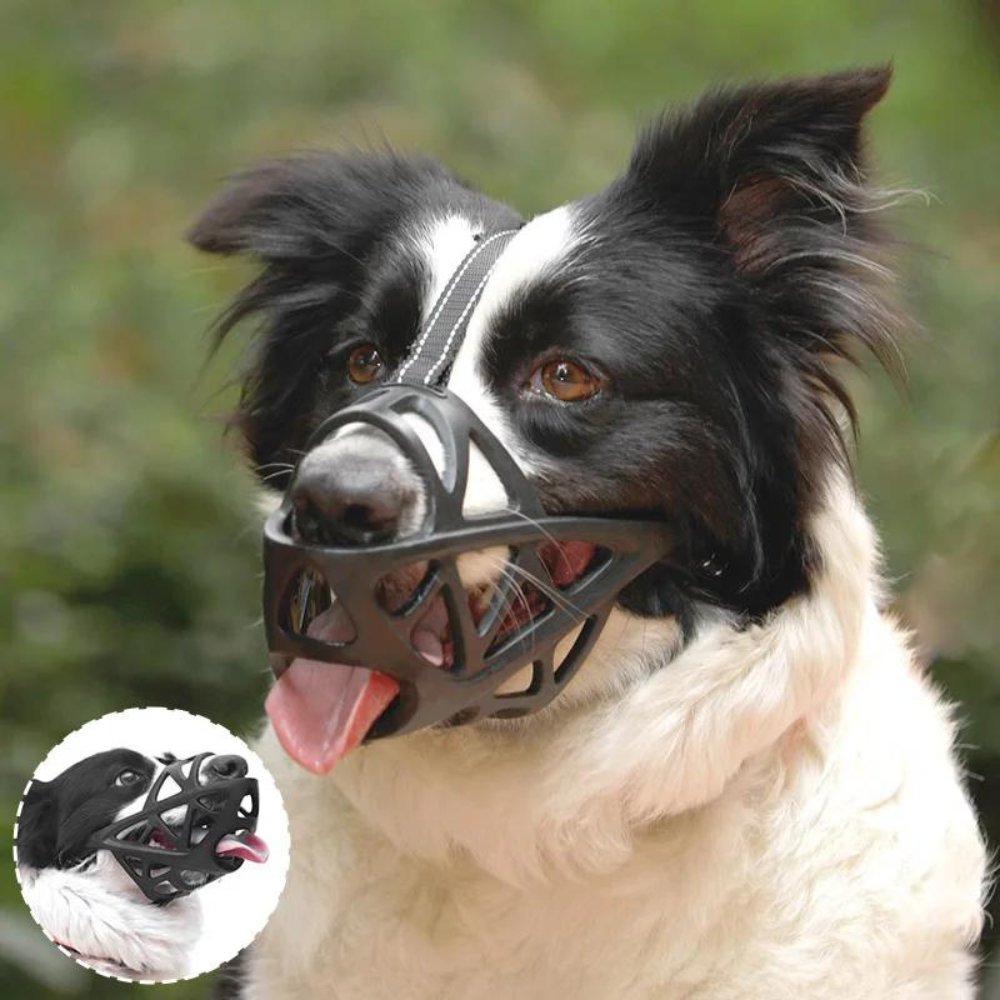 Dog Muzzle Safety Device