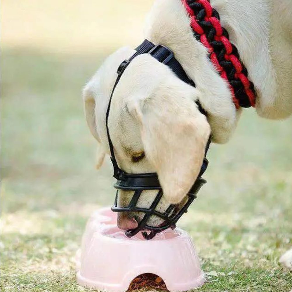 Dog Muzzle SecureFit Adjustable Safety Canine Muzzle