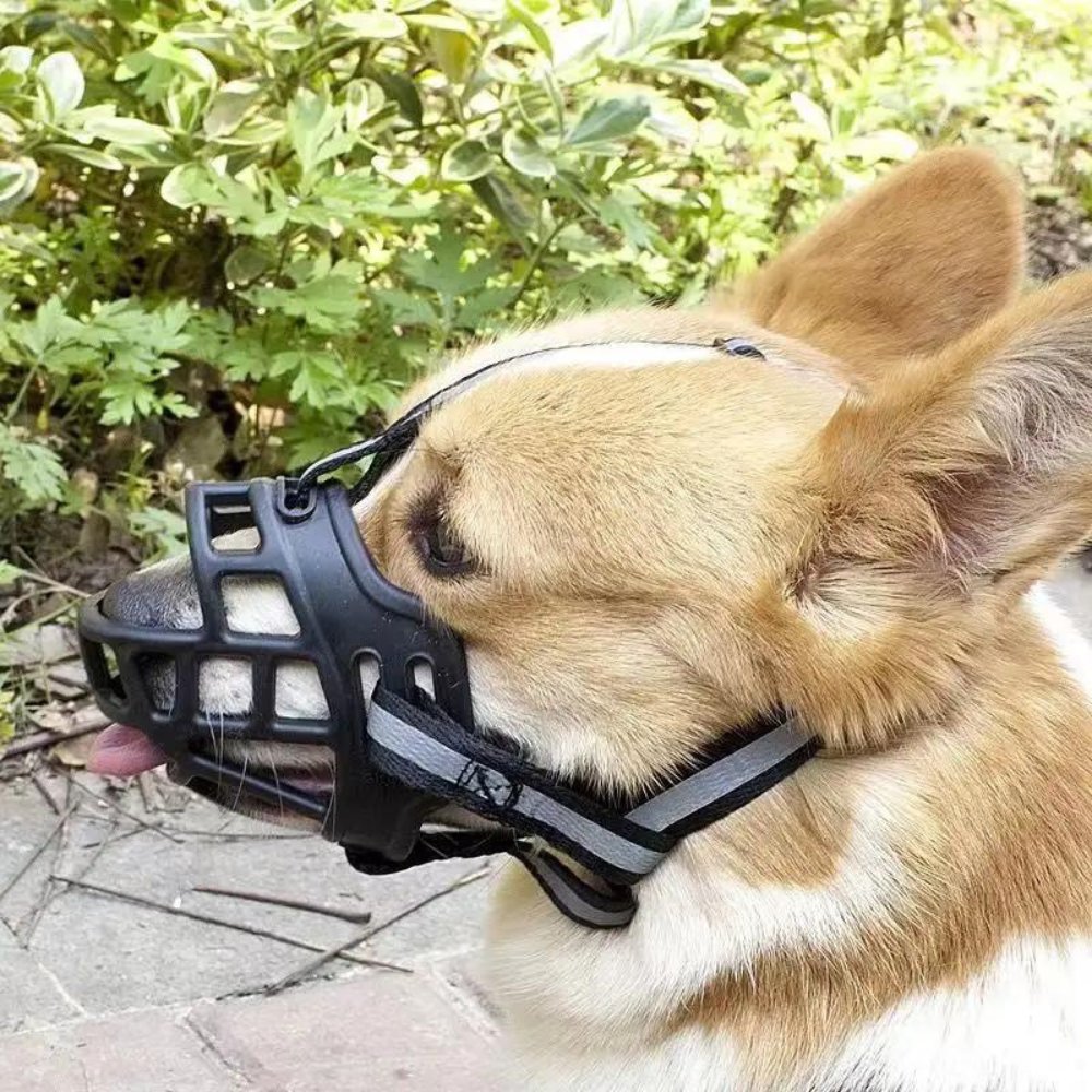 Dog Muzzle SecureFit Adjustable Safety Canine Muzzle