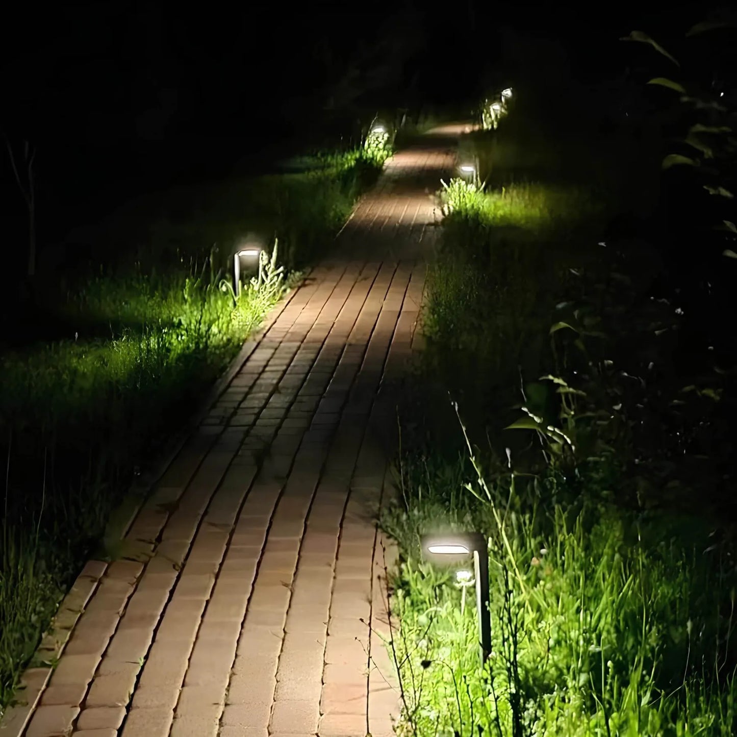 Solar Path Lights for Outdoor Atmosphere, Waterproof LED Garden Lighting