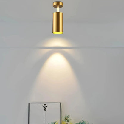 Dimmable Modern Ceiling Light for Home and Office – Stylish Illumination