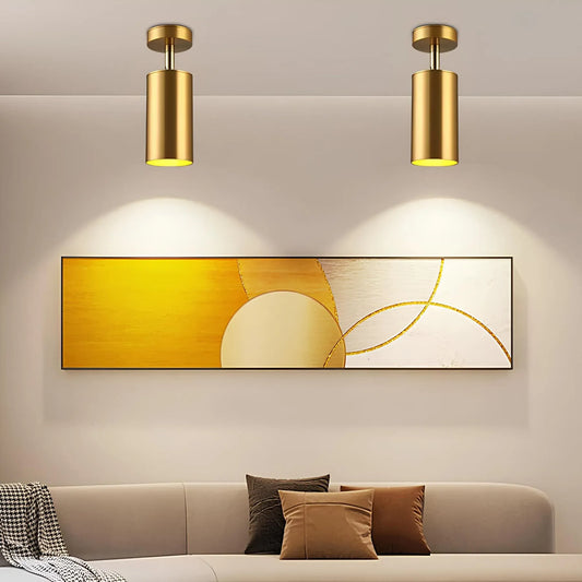 Dimmable Modern Ceiling Light for Home and Office – Stylish Illumination